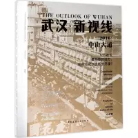 音像武汉·新视线(2016)中山大道盛洪涛 等 编著