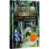 音像迷失断裂谷清山 著
