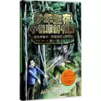音像迷失断裂谷清山 著