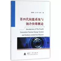音像第四代核能系统与钠冷快堆概论成松柏