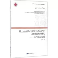 音像稀土企业核心竞争力动态评价及培育路径研究马越峰 著