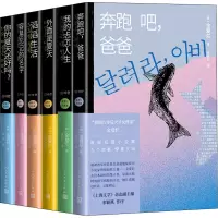 音像金爱烂作品集(全6册)(韩)金爱烂