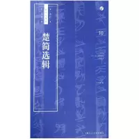 音像楚简选辑/书法自学与鉴赏丛帖王学良
