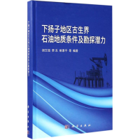 音像下扬子地区古生界石油地质条件及勘探潜力胡文瑄 等 编著