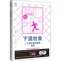 音像下流社会 一个新社会阶层的出现(日)三浦展