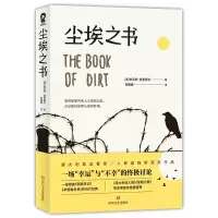 音像尘埃之书布劳姆·普里瑟尔