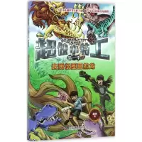 音像麦田怪圈里的龙超侠 著