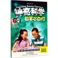 音像铅笔芯点灯赵致真,王俊 主编