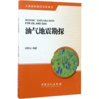 音像油气地震勘探胡伟光 编著