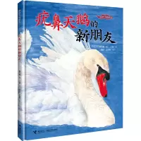音像疣鼻天鹅的新朋友保冬妮