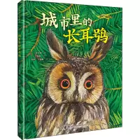 音像城市里的长耳鸮保冬妮