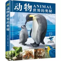 音像动物世界的奥秘作者