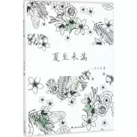 音像夏至未满王小方 著