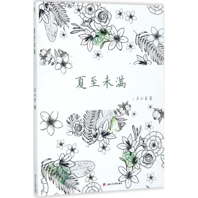 音像夏至未满王小方 著