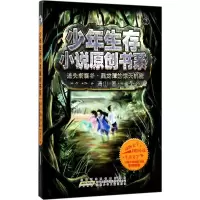 音像迷失断裂谷清山 著