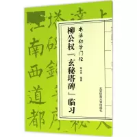 音像柳公权《玄秘塔碑》临习施志伟 编著