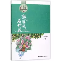 音像静静的石竹花张之路 著