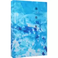 音像海诗集王海诗 绘著