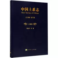 音像中国土系志杨金玲 等 著
