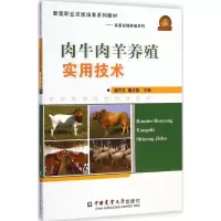 音像肉牛肉羊养殖实用技术褚万文,扈志强 主编
