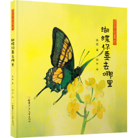 音像蝴蝶你要去哪里陈晖,田宇