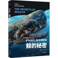 音像PNSO海洋博物馆 鲸的秘密赵闯,杨杨