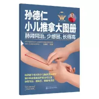 音像肺肾同治少感冒得/孙德仁小儿推拿大图册孙德仁