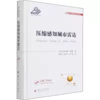 音像压缩感知城市雷达(美)毛泽尼斯·阿明
