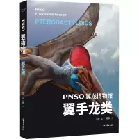 音像PNSO翼龙博物馆 翼手龙类赵闯,杨杨