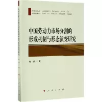 音像中国劳动力市场分割的形成机制与形态演变研究肖潇 著