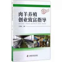 音像肉羊养殖创业致富指导江喜春 主编