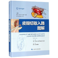 音像皮瓣切取入路图解(精)克劳斯·迪特里希·沃尔夫