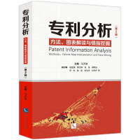 音像专利分析——方法、图表解读与情报挖掘(第2版)马天旗等 著