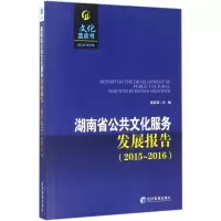 音像湖南省公共文化服务发展报告禹新荣 主编