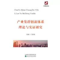 音像产业集群创新体系理论与实研究王淑娟