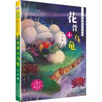 音像花背小乌龟冰波