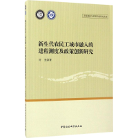 音像新生代农民工城市融入的进程测度及政策创新研究许光 著