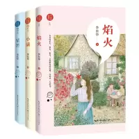音像李东华“致成长·焰火”系列3册李东华