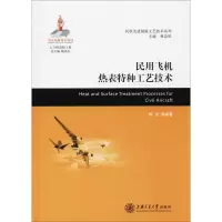 音像民用飞机热表特种工艺技术陈洁 等 编著