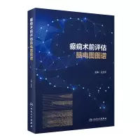 音像癫痫术前评估脑电图图谱王玉平