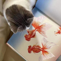 音像中国符号系列第2辑 中国火锅+中国风筝+中国糖画(全3册)冯旭