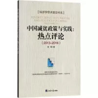 音像中国减贫政策与实践张琦 著