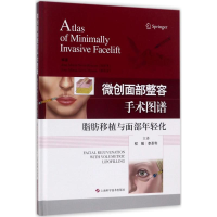 音像微创面部整容手术图谱