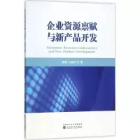 音像企业资源禀赋与新产品开发姚铮,马超群 著