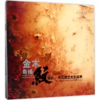 音像金木奇缘徐公诚 著