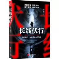 音像长线伏行蔡必贵