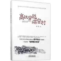 音像高铁穿越煤窑村成龙 著