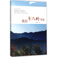 音像我在车八岭等你吴智宏 著