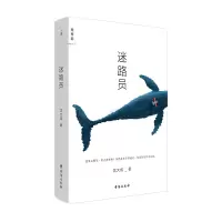 音像迷路员沈大成