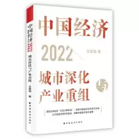音像中国经济.2022:城市深化与产业重组王德培